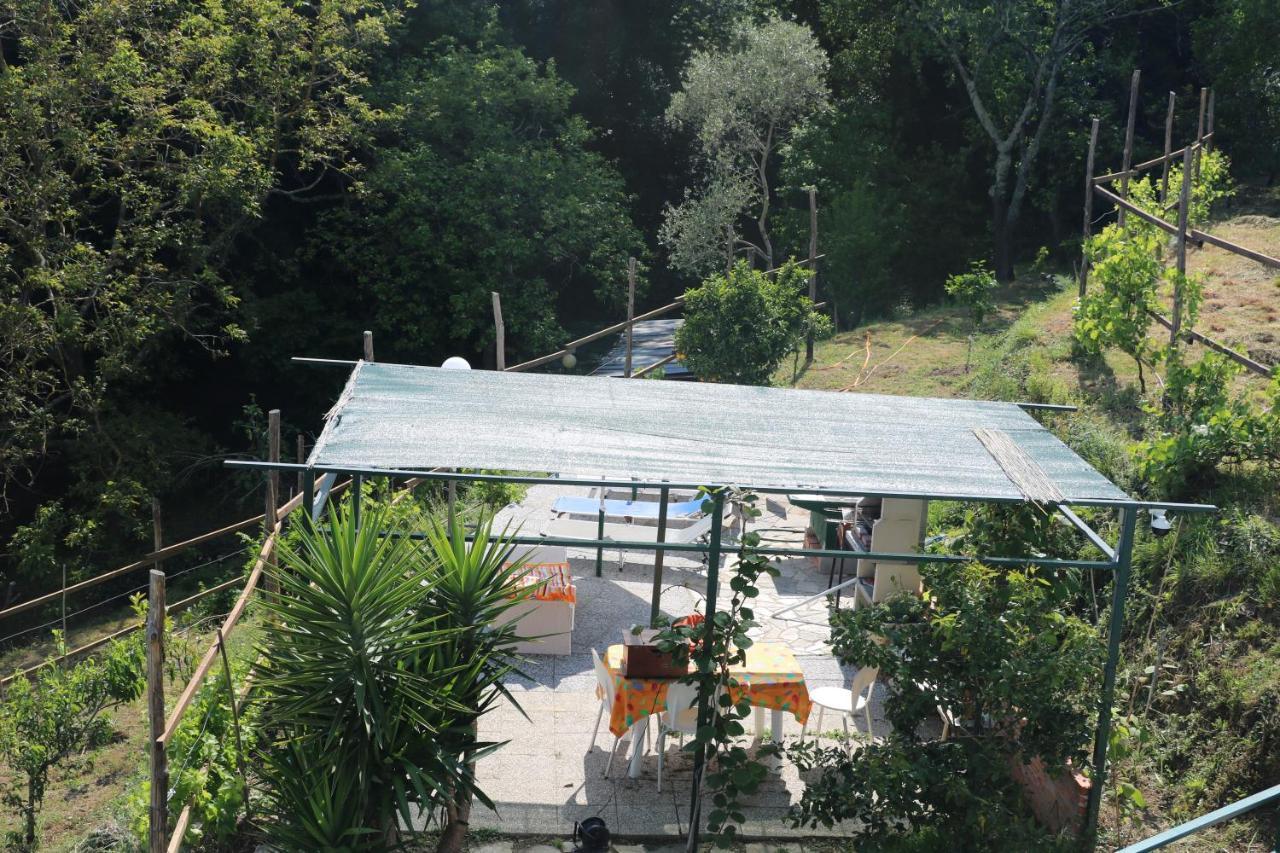 Villa Maremonti - Con 3 Piscine Sestri Levante Exteriér fotografie